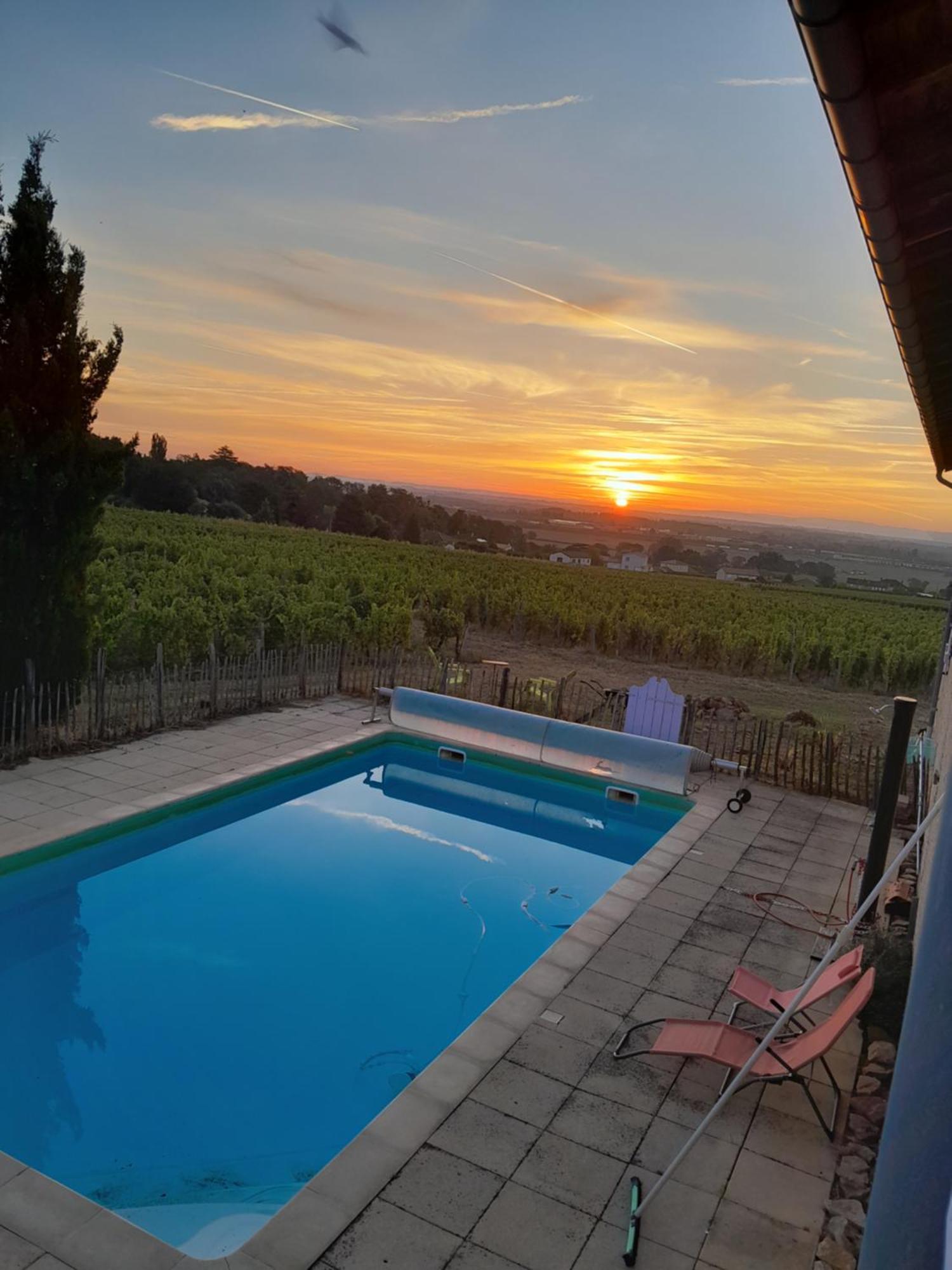 La Cote Des Blancs - Domaine Viticole & Maison D'Hotes Vinzelles Zewnętrze zdjęcie
