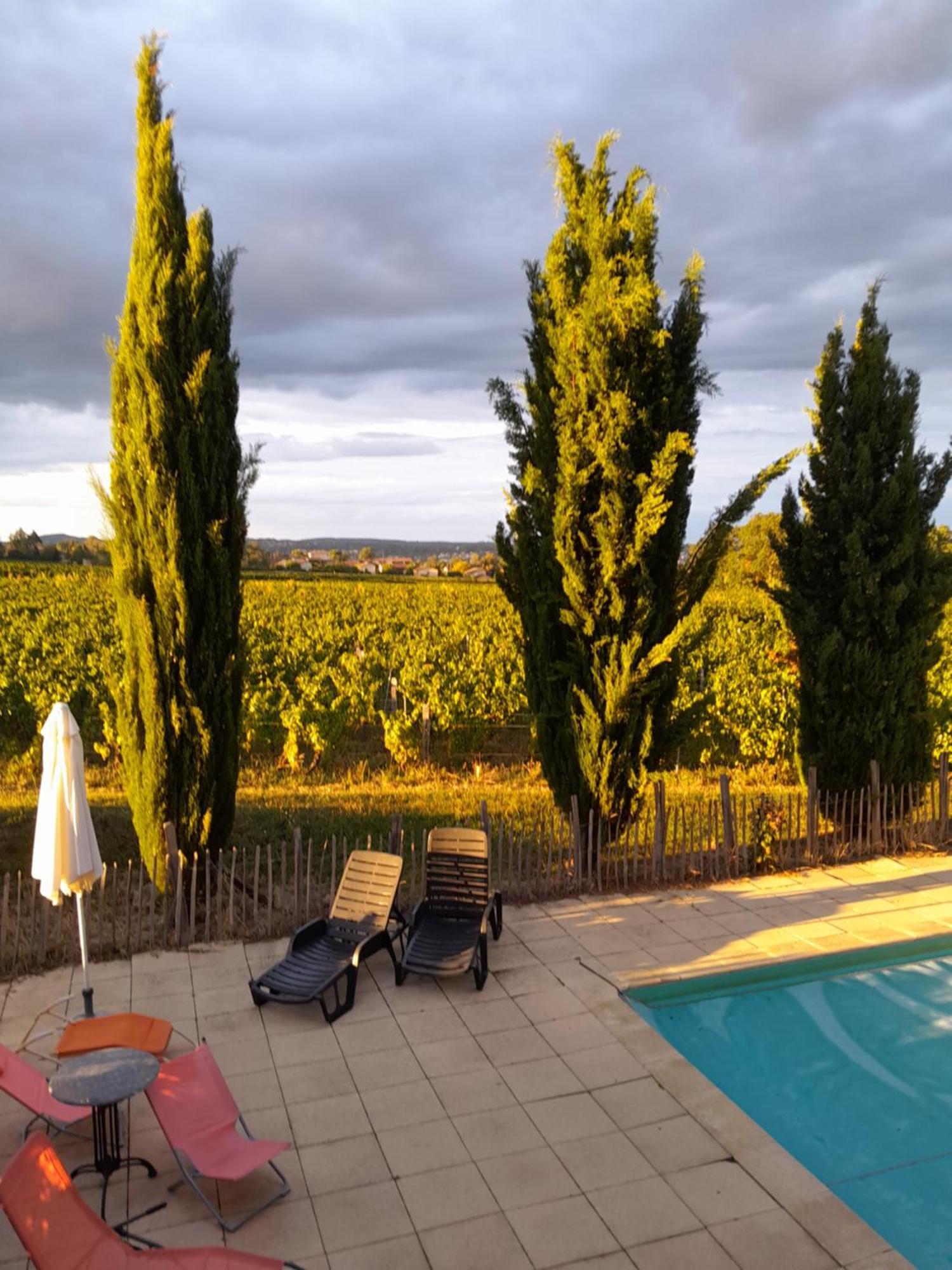 La Cote Des Blancs - Domaine Viticole & Maison D'Hotes Vinzelles Zewnętrze zdjęcie